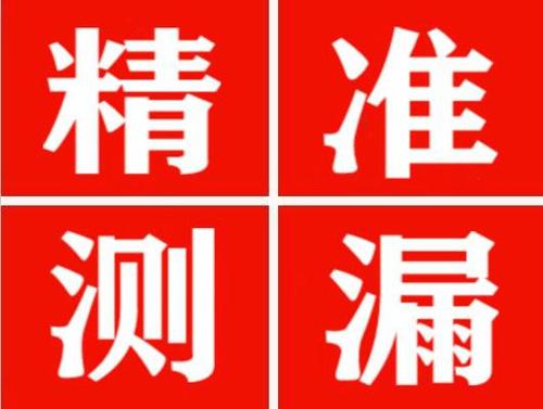 枣阳尚嘉漏水精准查找